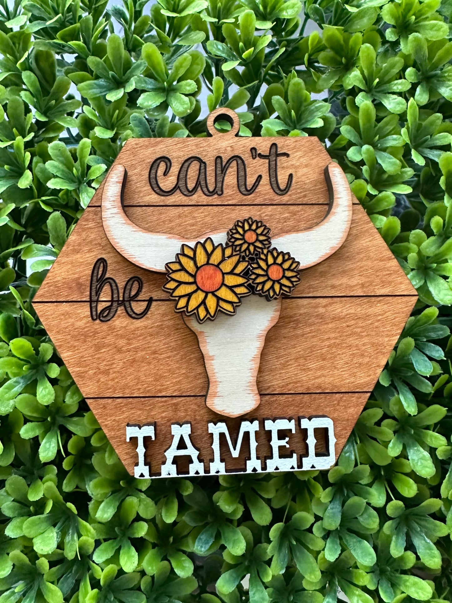 Ready to Ship - Can’t be Tamed